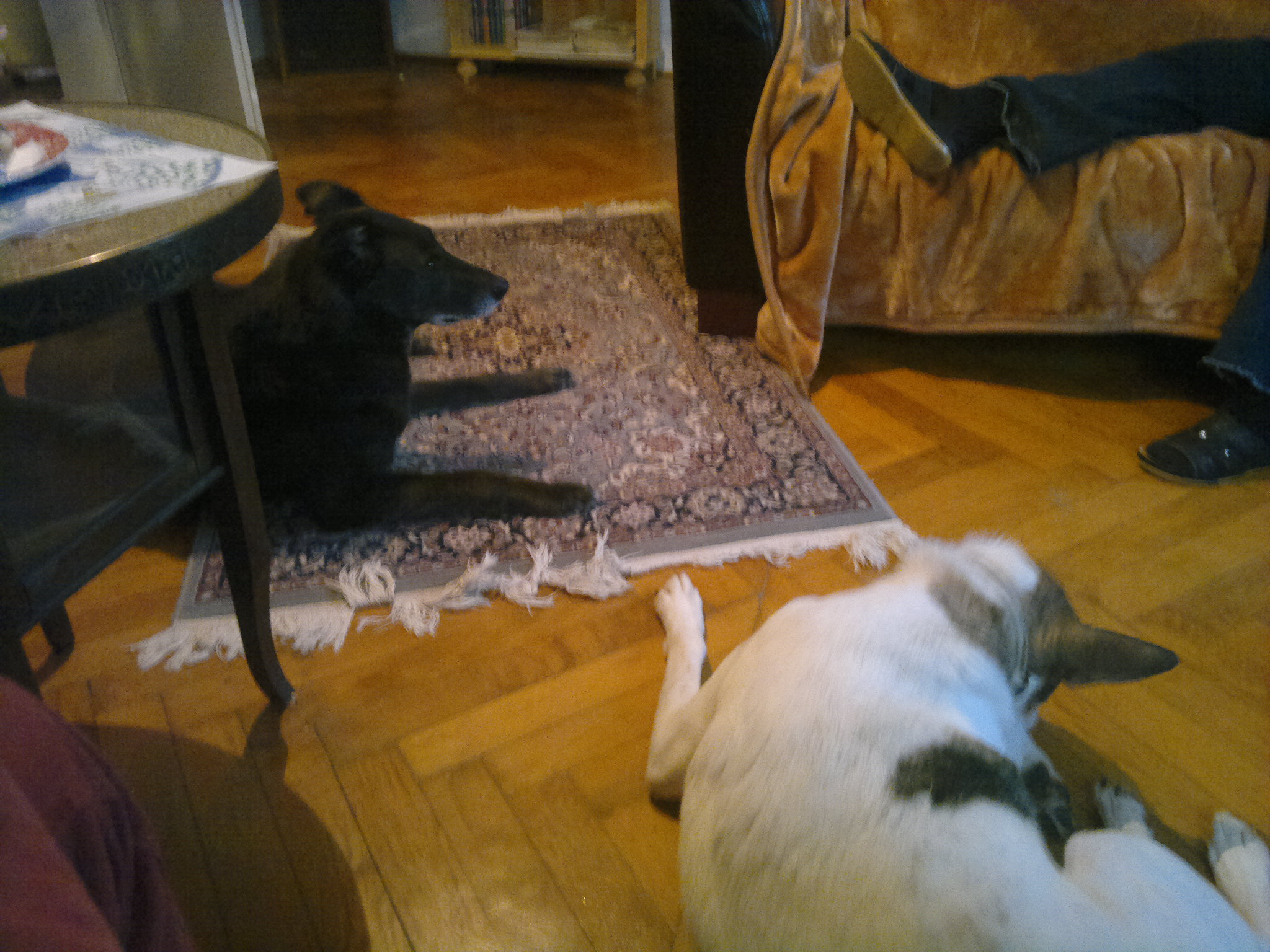 Bei mir zu Haus.jpg (2048 x 1536)